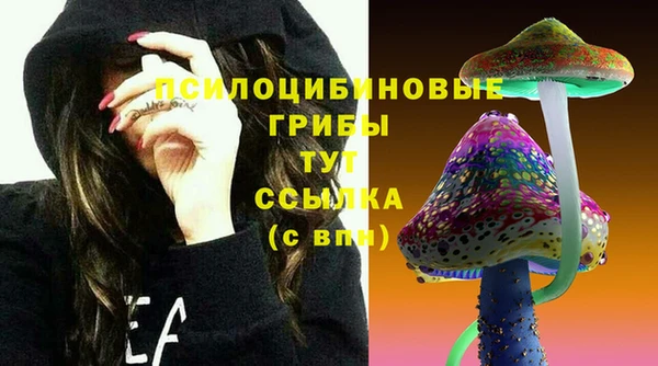 MDMA Богданович