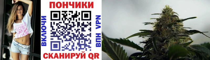даркнет официальный сайт Брюховецкая Бошки Шишки сатива наркота